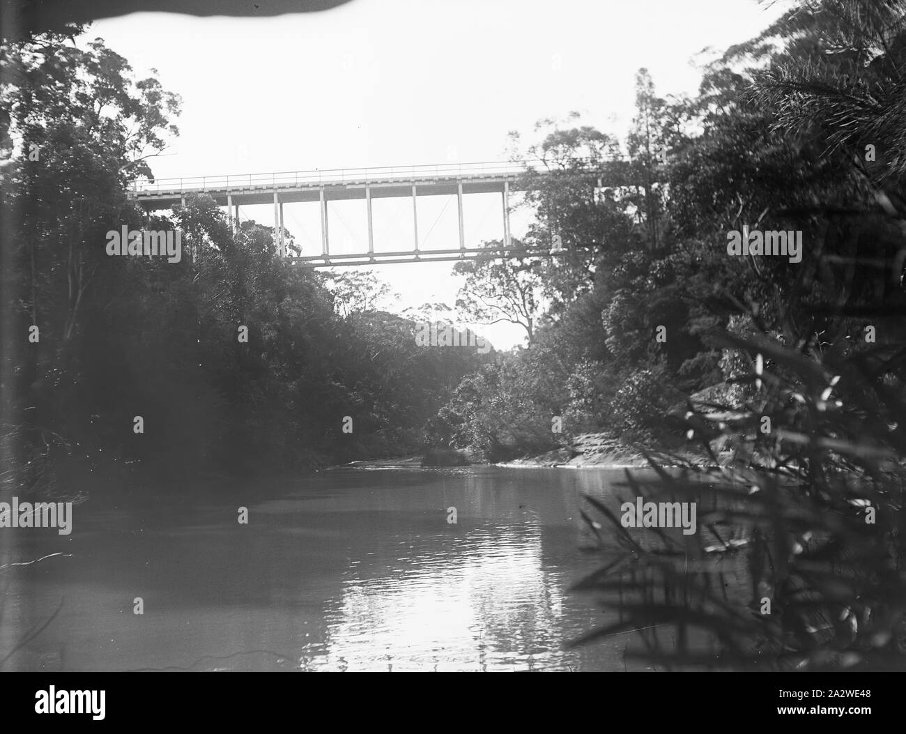 Glass Negative - Bridge Over River, circa 1900s, Black and white 1/4 plate glass negative featuring low angle shot of a bridge over a secluded river, surrounded by bushland. Likely a rail bridge. This photograph was likely taken circa 1900s. This is one of twelve negatives originally housed in an Imperial Special Rapid Plates box featuring scenes in Sydney and a picnic at an unknown location, presumably in New South Wales or Victoria Stock Photo
