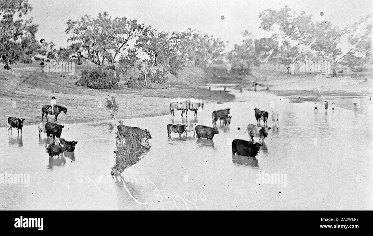 Negative - 'Crossing the Barcoo', Isisford District, Queensland, circa ...