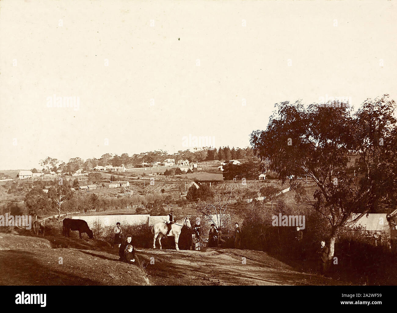 Digital Photograph - View from 'Willis Vale', Greensborough, Victoria, circa 1902, View looking south from the Partington family property 'Willis Vale' at Greensborough. The property was situated on a hill sloping down to the Plenty River. On a portion of the property was the orchard leased by Robert Whatmough for his nursery business. In the foreground are members of the Partington Family who lived in the main house. The orchard is directly behind them and follows the white Stock Photo