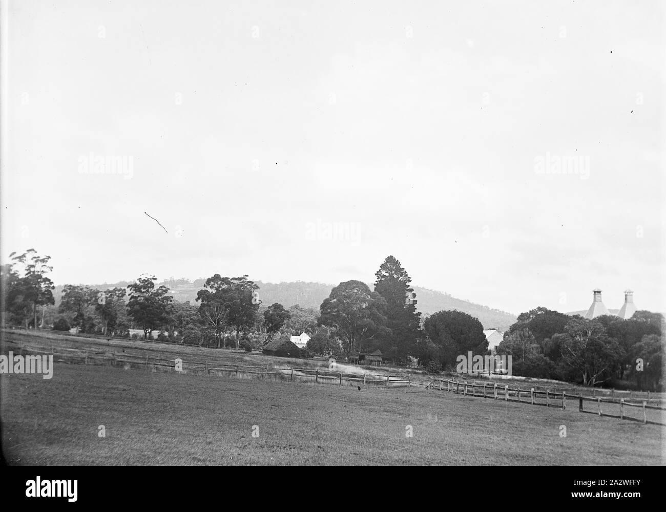 Glass Negative - Farm House & Paddocks, circa 1900s, Black and white 1/4 plate glass negative featuring paddocks and a farm house with two chimneys visible behind a plantation of European trees. Likely taken circa 1900s. This is one of twelve negatives originally housed in an Imperial Special Rapid Plates box featuring scenes in Sydney and a picnic at an unknown location, presumably in New South Wales or Victoria. The provenance of these images is Stock Photo