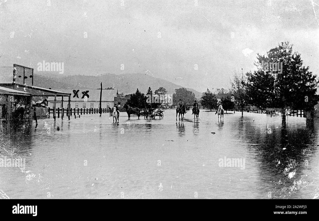 Negative - Tallangatta, Victoria, 1909, Riders and a horse-drawn vehicle in the main street of Tallangatta which is under flood. Marked by dots is the post office and by crosses, the hall Stock Photo