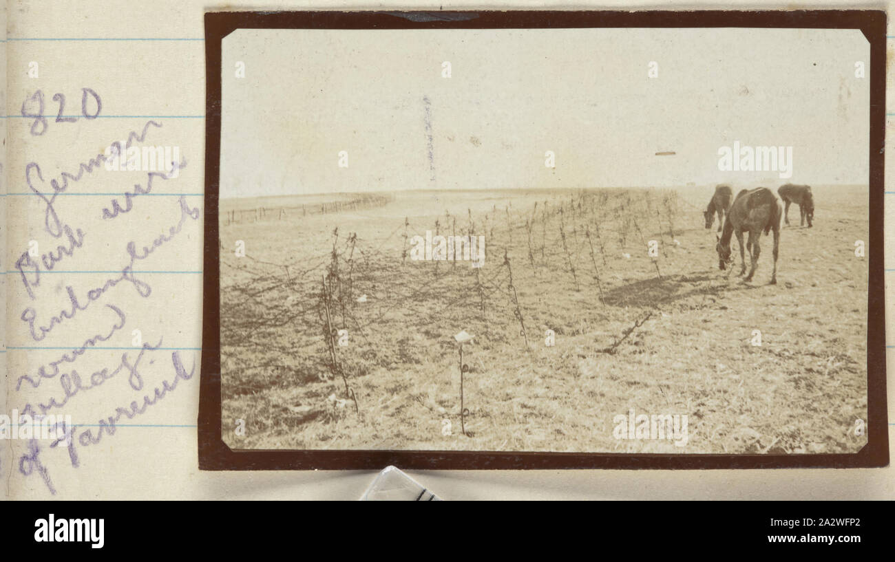 Photograph - German Barbed Wire Around Favreuil, France, Sergeant John Lord, World War I, 1917, One of 185 black and white photographs in an album, taken in France during World War I by Sergeant John Lord. Some pages are blank. Photographs in the album depict army camps, hospitals, trenches, early tanks, landscapes, cemeteries and graves and groups of posed Australian soldiers. The places Lord mentions in his captions are La Boiselle, Quarry Siding, Pozieres, Albert, Bapaume Stock Photo