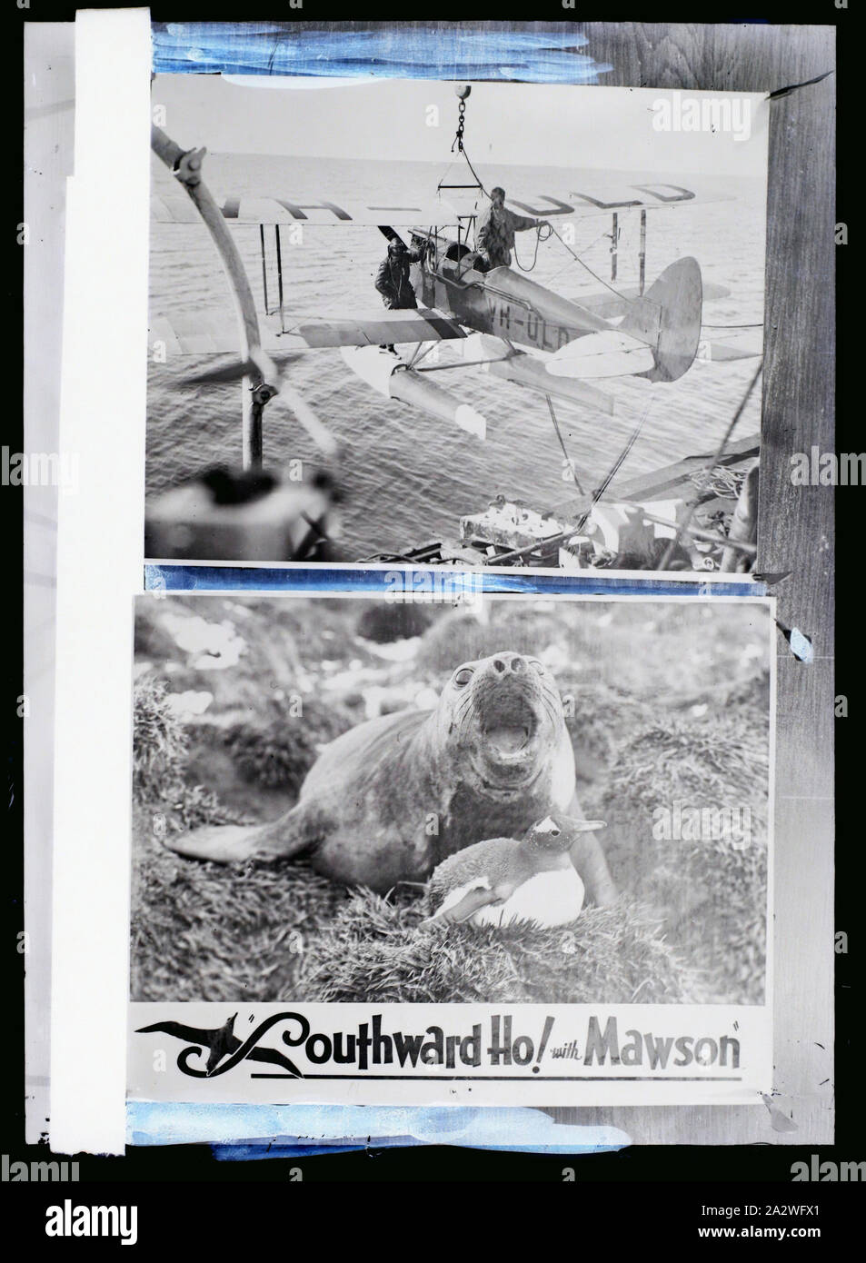 Glass Negative - Copy, Gipsy Moth VH-ULD & 'Southward Ho! With Mawson' BANZARE Voyage 1, Antarctica, 1929-1930, Black and white glass negative of two photographs, the Gipsy Moth VH-ULD & 'Southward Ho! With Mawson', Antarctica. One of 328 images in various formats including artworks, photographs, glass negatives and lantern slides Stock Photo
