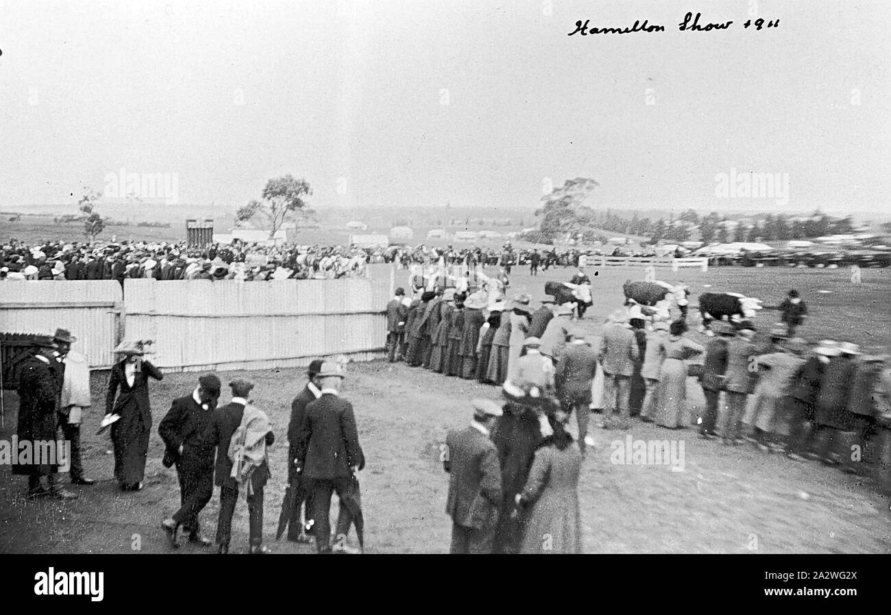 Negative - 'Hamilton Show', Victoria, 1911, Crowds watching the grand parade at the Hamilton Show Stock Photo