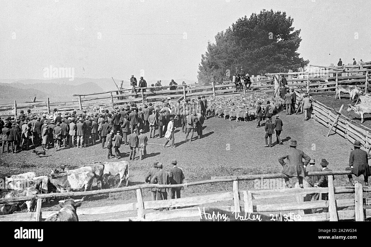 Negative 'Happy Valley', Myrtleford, Victoria, 21 Mar 1919, Clearing