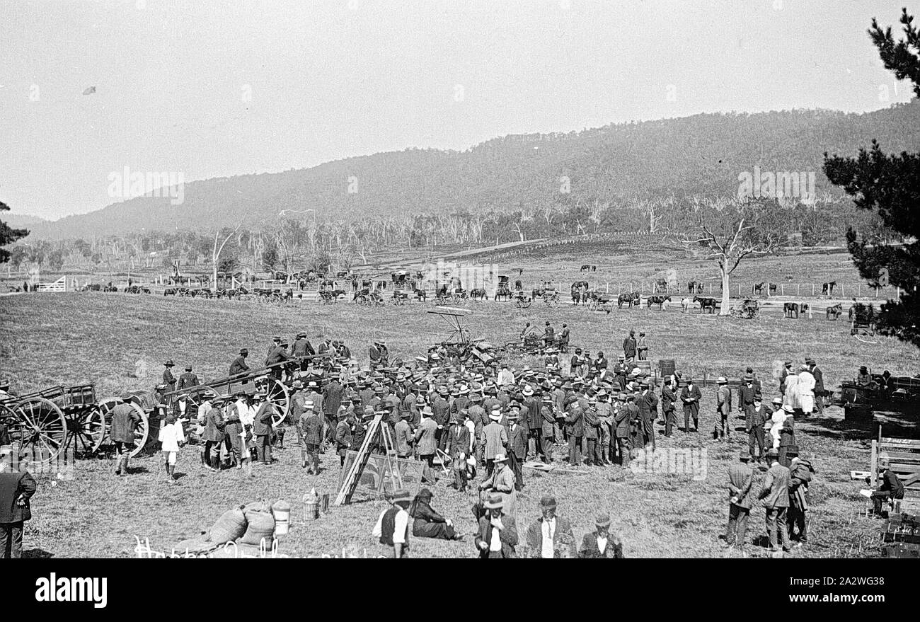 Negative 'Happy Valley', Myrtleford, Victoria, 21 Mar 1919, Clearing sale at 'Happy Valley
