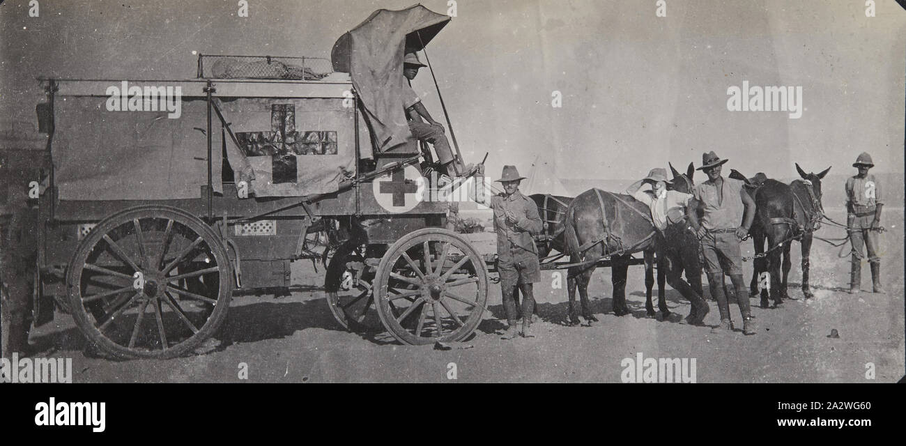 Photograph - Horse-Drawn Ambulance in the Desert, World War I, circa 1915, One of 474 photographs in an album that belonged to Sergeant John Lord, documenting military service in Egypt during World War I. He was probably the photographer. The album is a lined notebook completely filled with small amateur photographs, mostly 65 x 45mm, glued onto pages Stock Photo