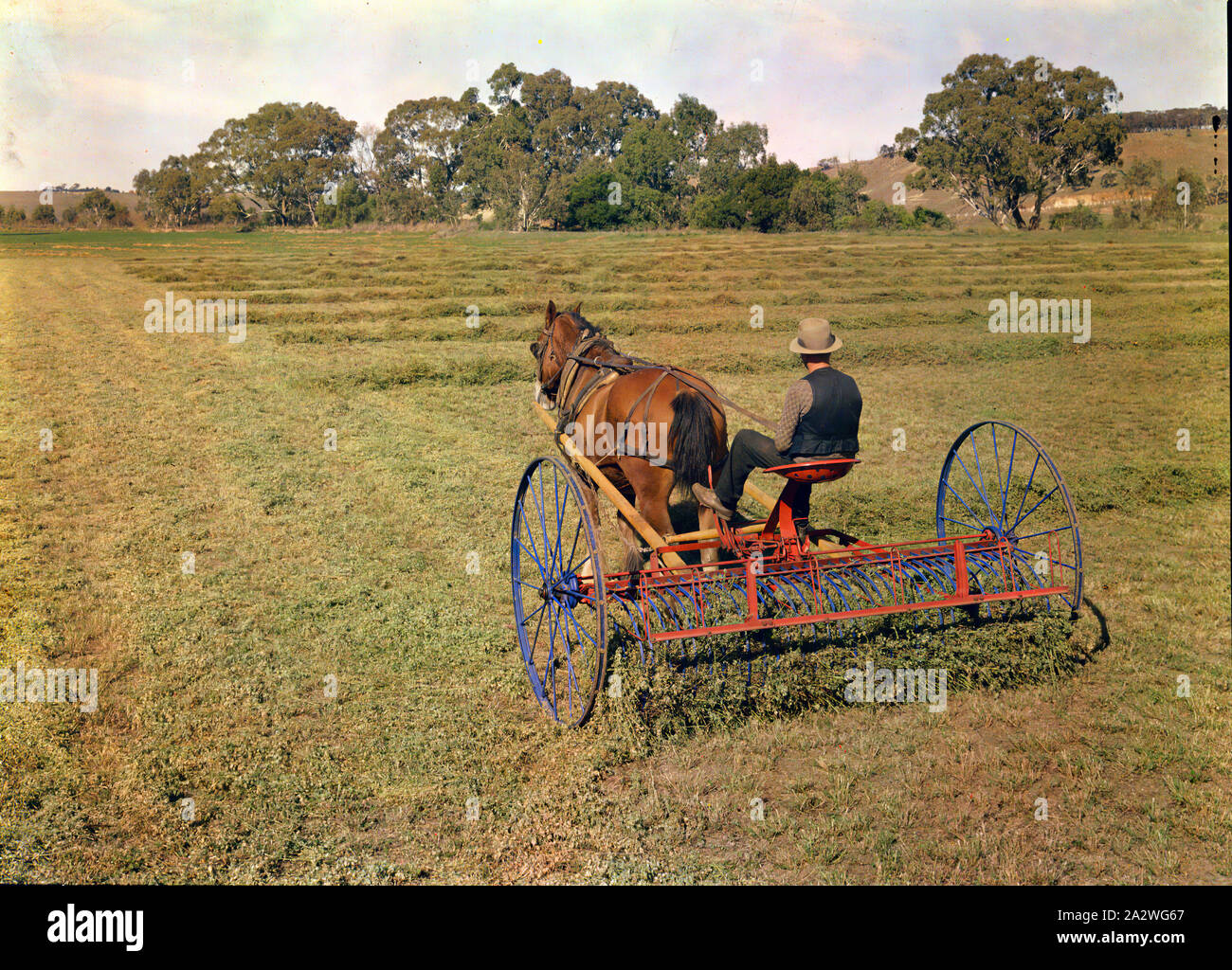 Transparency - International Harvester, Horsedrawn 9-Foot Seed