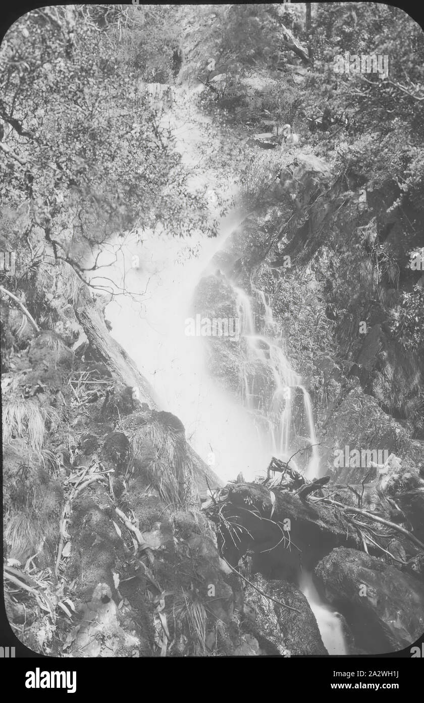 Lantern Slide - Upper Yarra Falls, Victoria, Date Unknown, Black and white image of the Upper Yarra Falls accessed via the Upper Yarra Track in Victoria, photographed by A.J. Campbell. one of many forming the A.J. Campbell Collection held by Museum Victoria Stock Photo