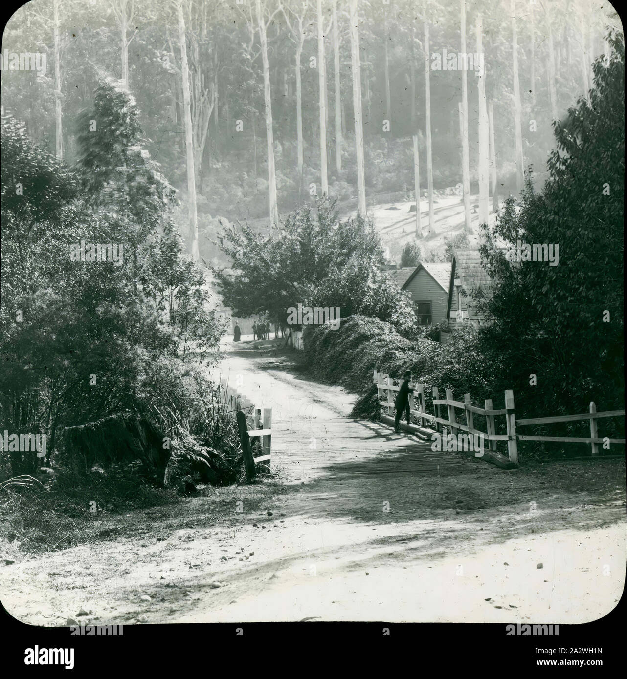 Lantern Slide - Fernshaw Village, Healesville, Victoria, Black and white image of the bridge over Watts River at Fernshaw Village on the Black Spur between Healesville and Narbethong which existed for 26 years in the 1800s, photographed by A.J. Campbell who also included his sketch of this scene in his sketch book. The village has long disappeared, replaced by the popular Fernshaw Picnic Area maintained by Parks Victoria Stock Photo