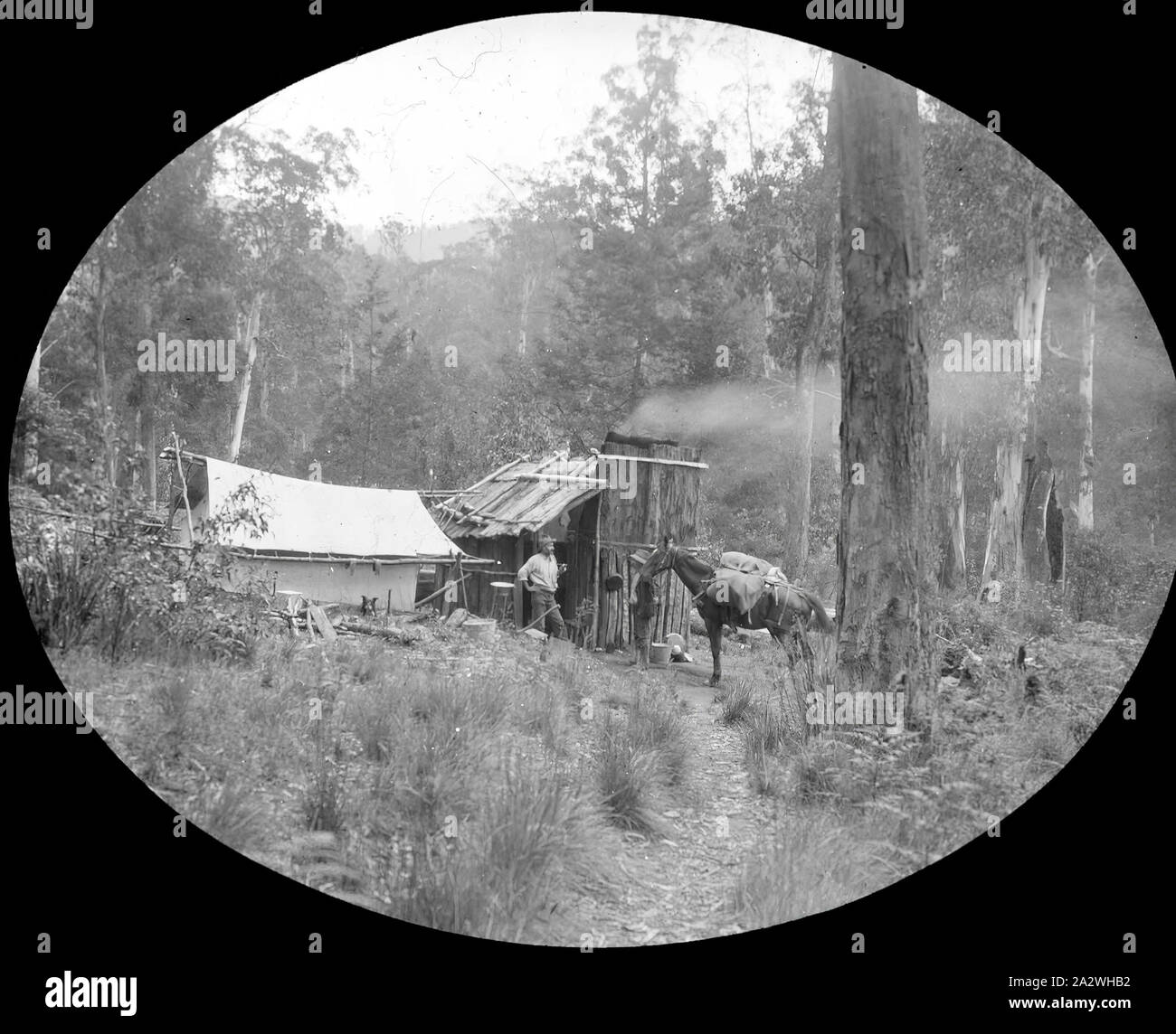 Lantern Slide - Bush Dwelling, Upper Yarra, Victoria, 1904-1907, Black and white image of a simple bush dwelling on the Upper Yarra Track in the high country of Victoria, photographed by A.J. Campbell. Campbell undertook two treks along the Upper Yarra Track, one in 1904 and the other in 1907, this image would have been taken on one of them Stock Photo