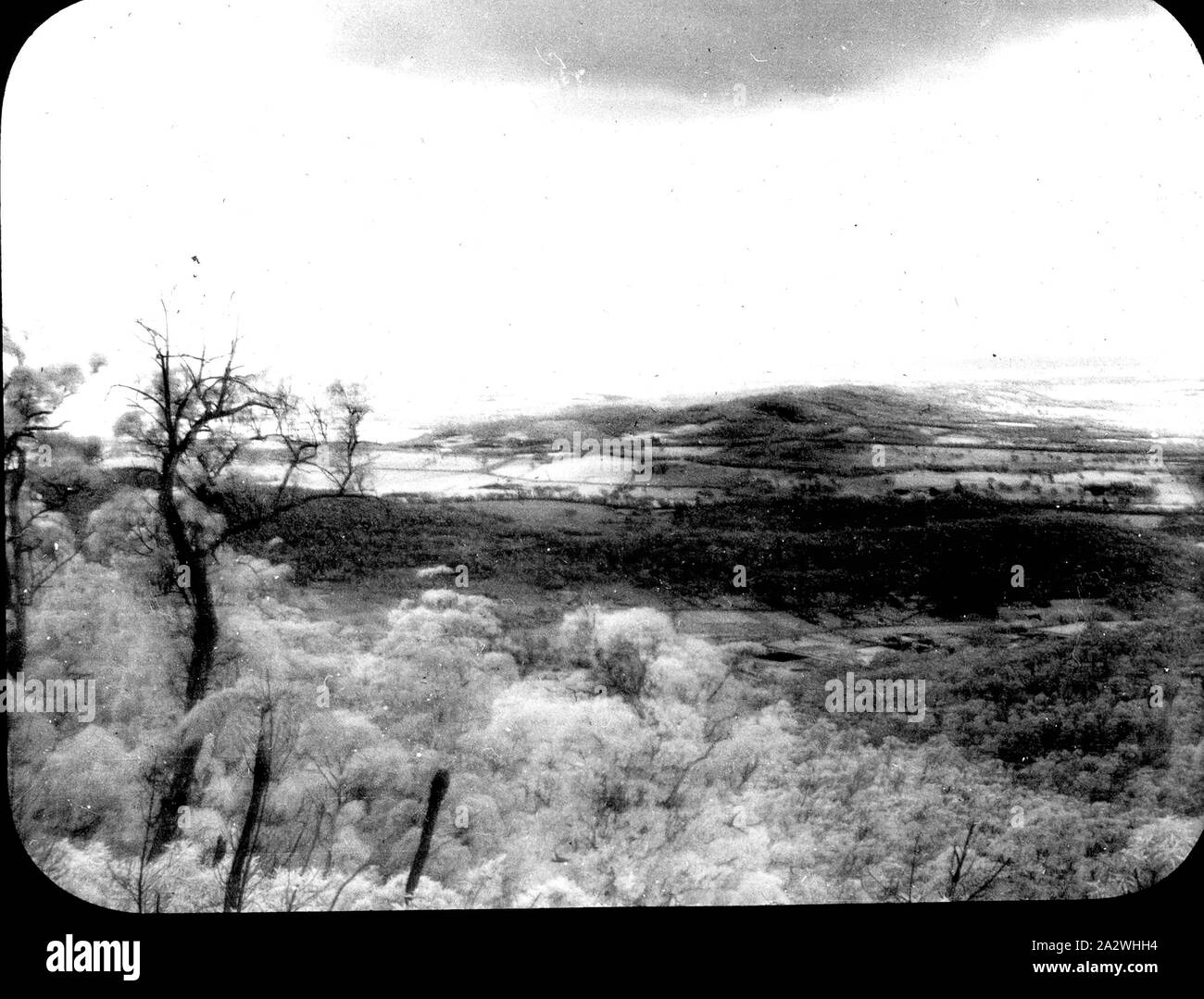Lantern Slide - Dandenongs, Victoria, Date Unknown, Black and white image of the Dandenongs taken from the lookout in Ferntree Gully. This is one of many glass lantern slides that form the A.J. Campbell Collection held by Museums Victoria Stock Photo