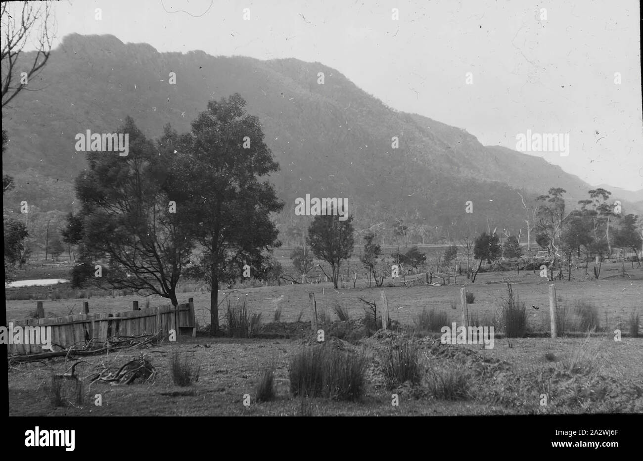 Lantern Slide - Mt Buffalo, Victoria, Date Unknown, Black and white image of Mt Buffalo taken from the valley below. This is one of many glass lantern slides that form the A.J. Campbell Collection held by Museums Victoria Stock Photo