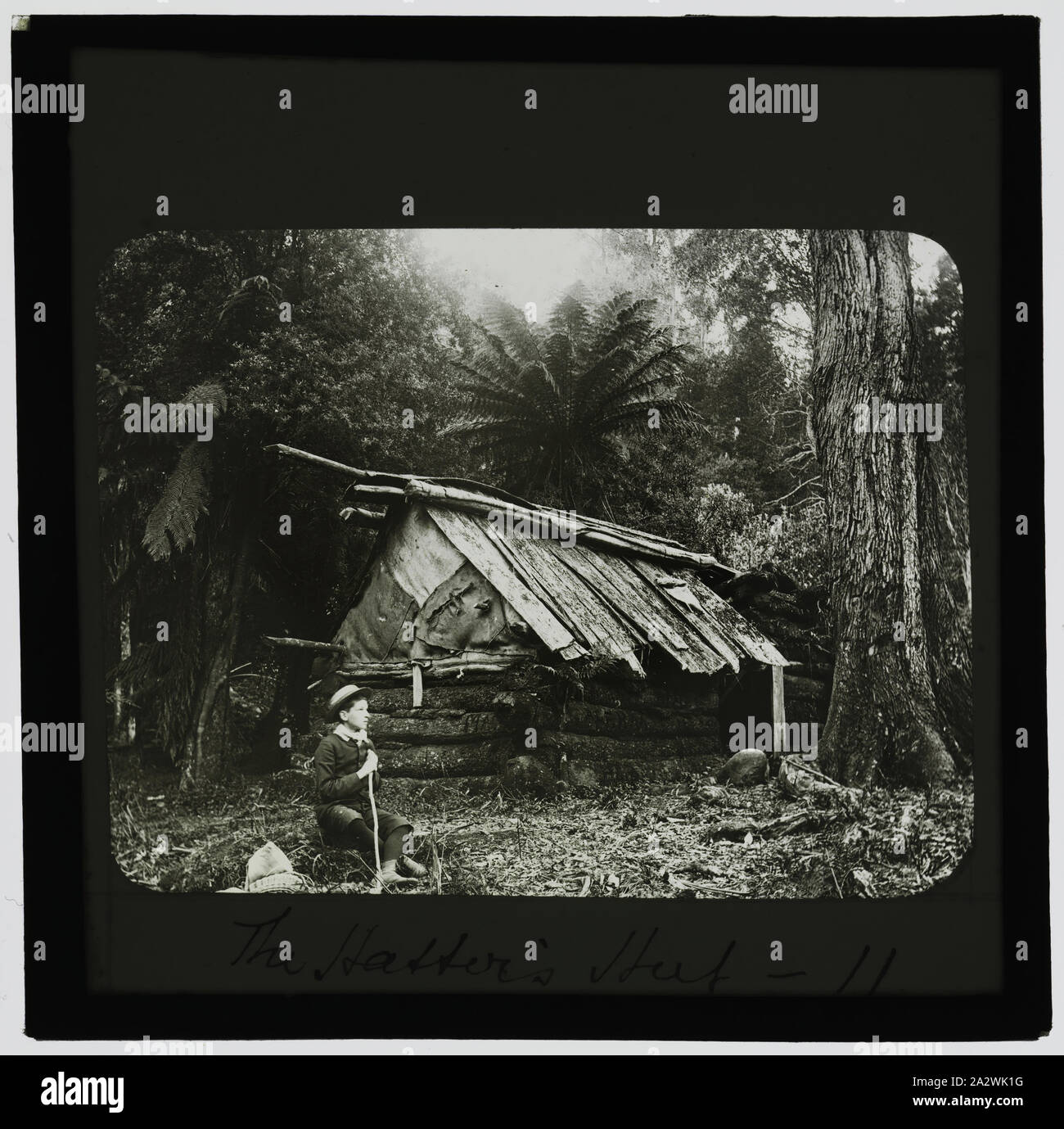 Lantern Slide - 'The Hatter's Hut', Archibald James Campbell, The Dandenongs, circa 1891, This image was taken by Archibald James Campbell during one of his many trips to Dandenongs in the late nineteenth century. The young boy in the image is believed to be his eldest son, Archibald George. Campbell, a well-known Naturalist, was one of the first in Australia to employ nature photography in recording his fieldwork. He was also a great proponent of environmental protection Stock Photo