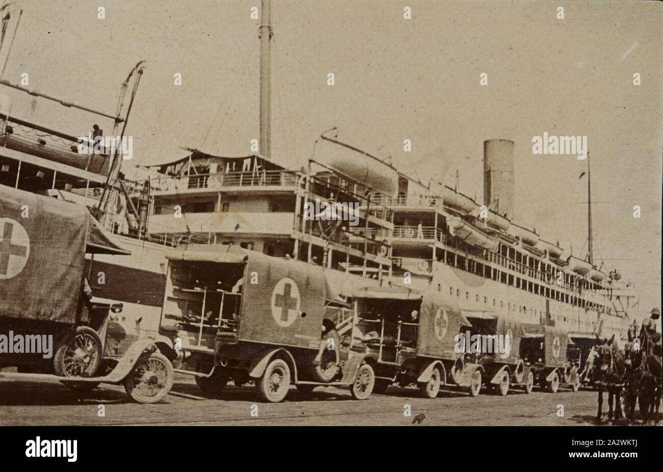Photograph - Motor Ambulances & Troop Carrier Asturias, Alexandria, Egypt, circa 1915, Photograph of a line of covered motorized ambulances pulled up alongside the troop carrier Asturias at the wharf at Alexandria, Egypt, during World War I. From a photograph album created by Sergeant John Lord and documents his time in Egypt. The album was created in a lined notebook/diary type book and John Lord completely filled the album with photographs. All of the photographs are numbered Stock Photo