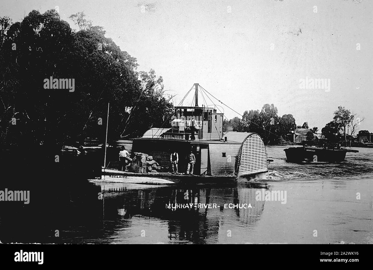 Negative Echuca, Victoria, circa 1905, A paddle boat, the 'Adelaide
