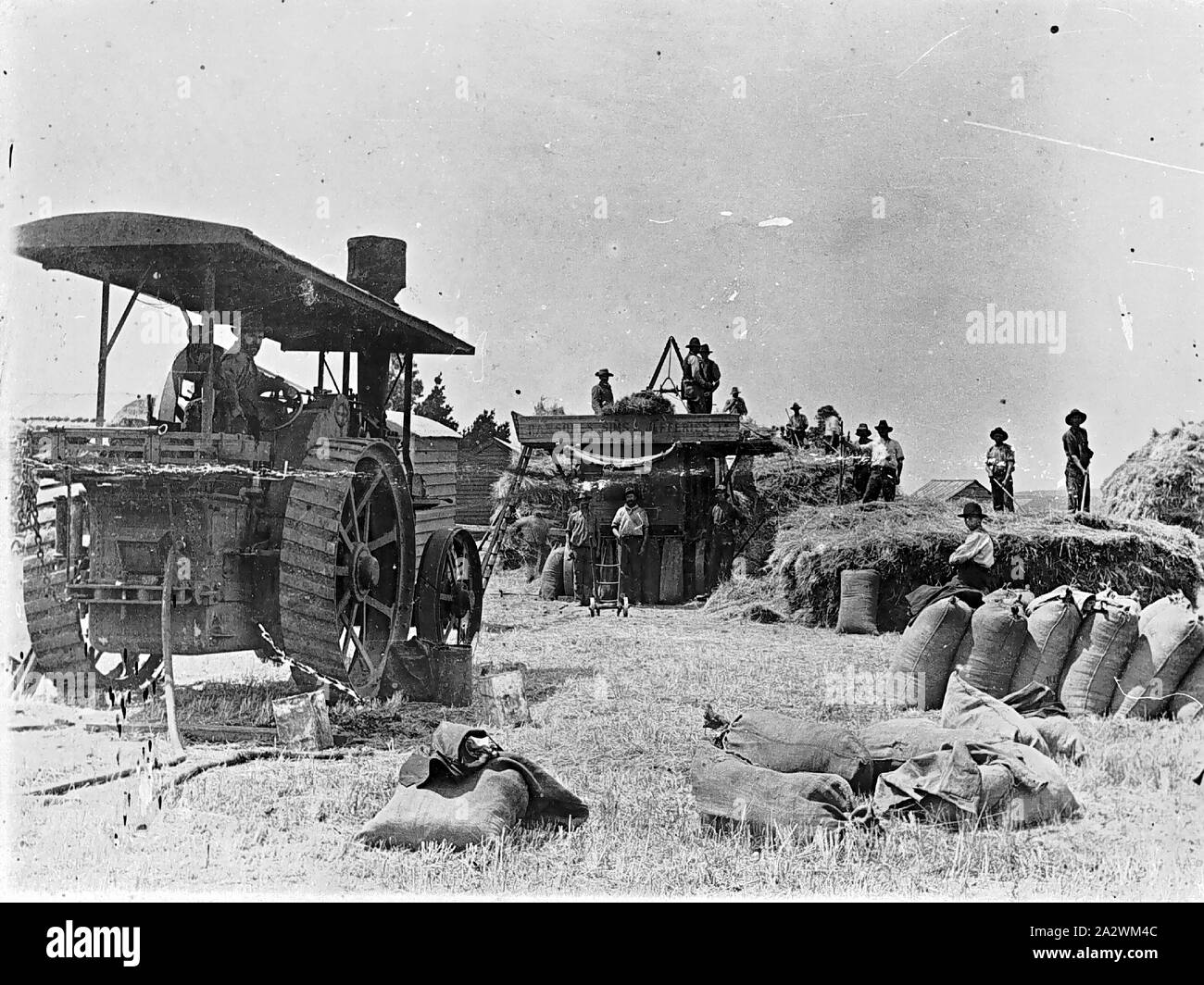 Negative - Threshing Team with Aveling & Porter Traction Engine ...