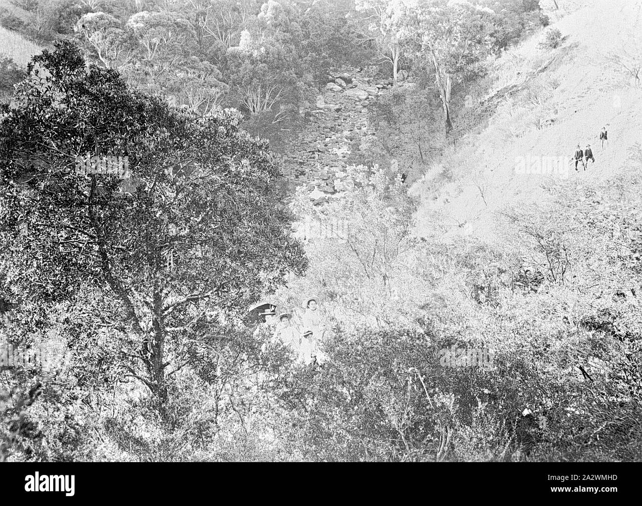 Negative - People on Hillside at Lal Lal Creek, Lal Lal, Victoria, 30 Sep 1896, People on a hillside at Lal Lal Creek Stock Photo
