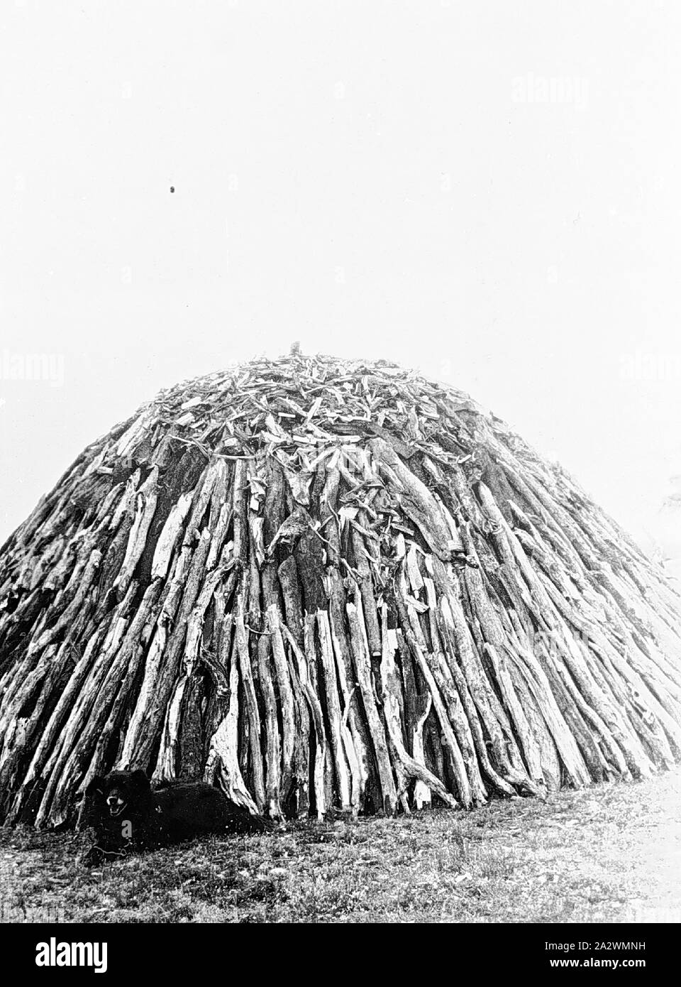Negative Wood Ready for Charcoal Burning, Dereel, Victoria, circa