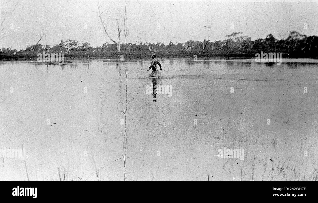 Negative Man Walking Through the 'Little Swamp' , Dereel, Victoria