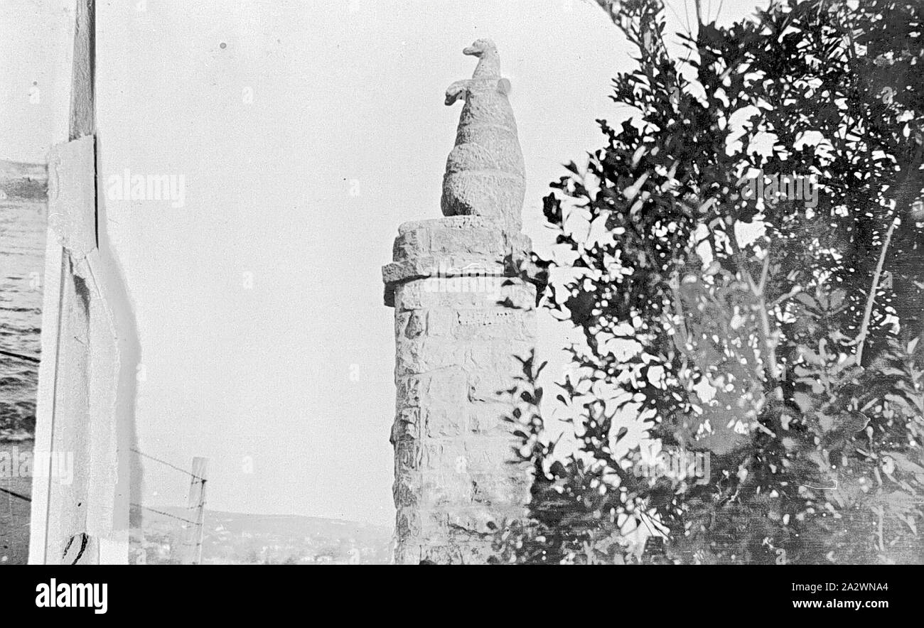 Negative - Statue of a Kangaroo, Carved by Convicts, Manly, New South Wales, 1915, Statue of a kangaroo which had been carved by convicts Stock Photo
