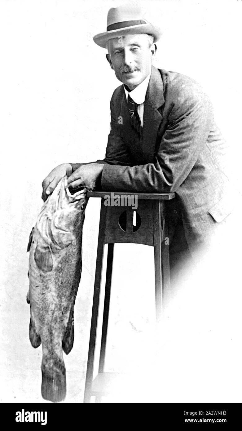 Murray cod fish hi-res stock photography and images - Alamy