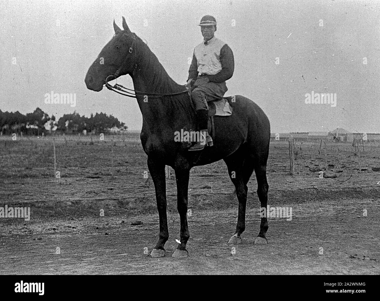 Negative Willaura, Victoria, 1918, A.N. Wright on his racehorse 'Dal