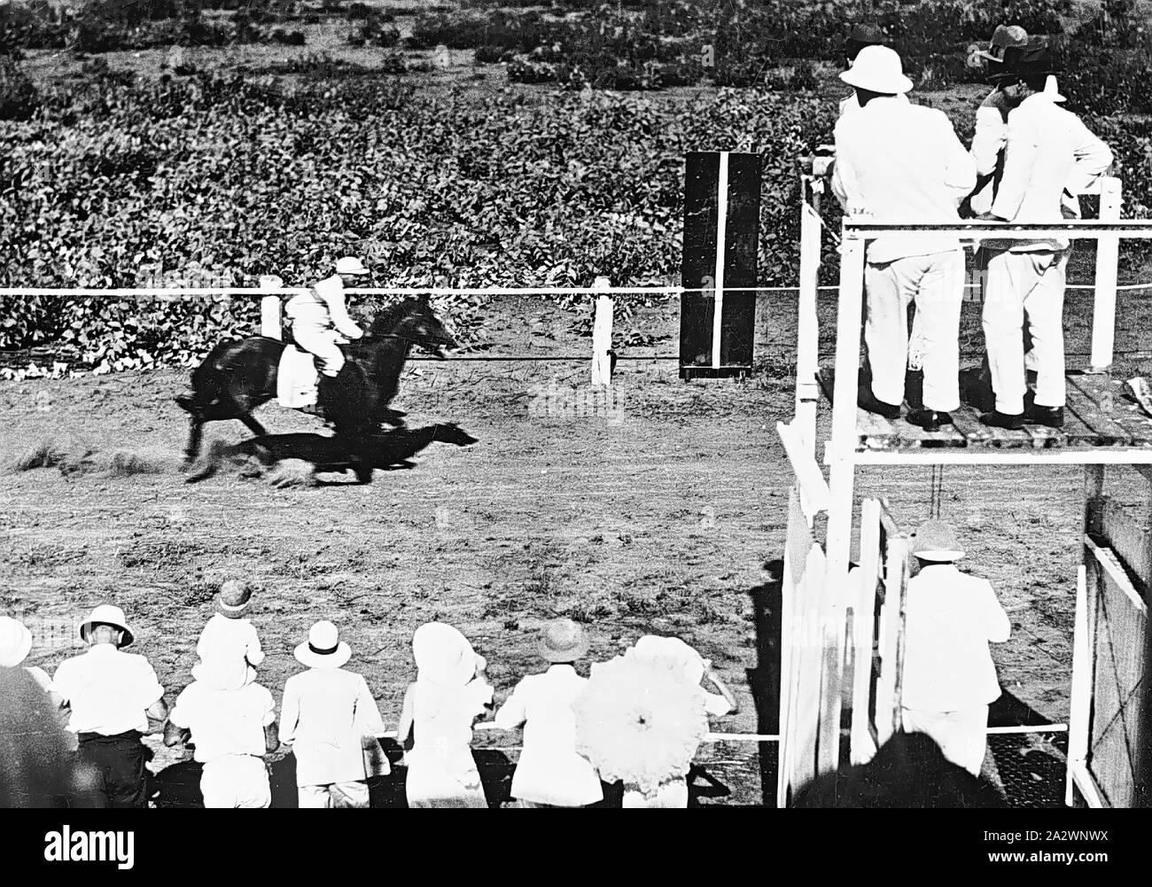 Negative - Darwin, Northern Territory, Oct 1933, The winning post at the annual races at Darwin Racecourse. Captain Secombe on 'Bushman', is winning the hack race. The judge's box is on the right Stock Photo