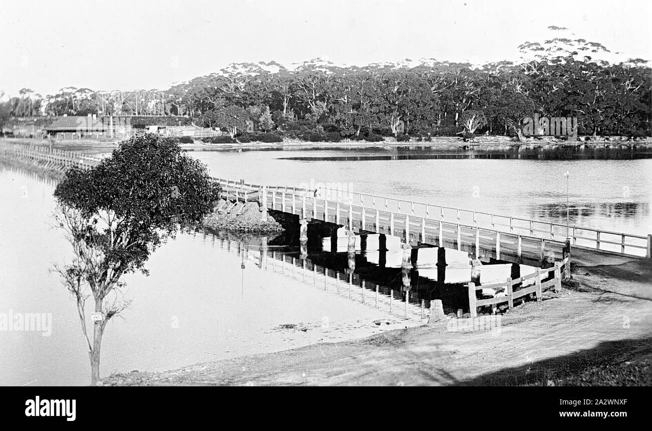 Negative Merimbula, New South Wales, circa 1935, The bridge and fish