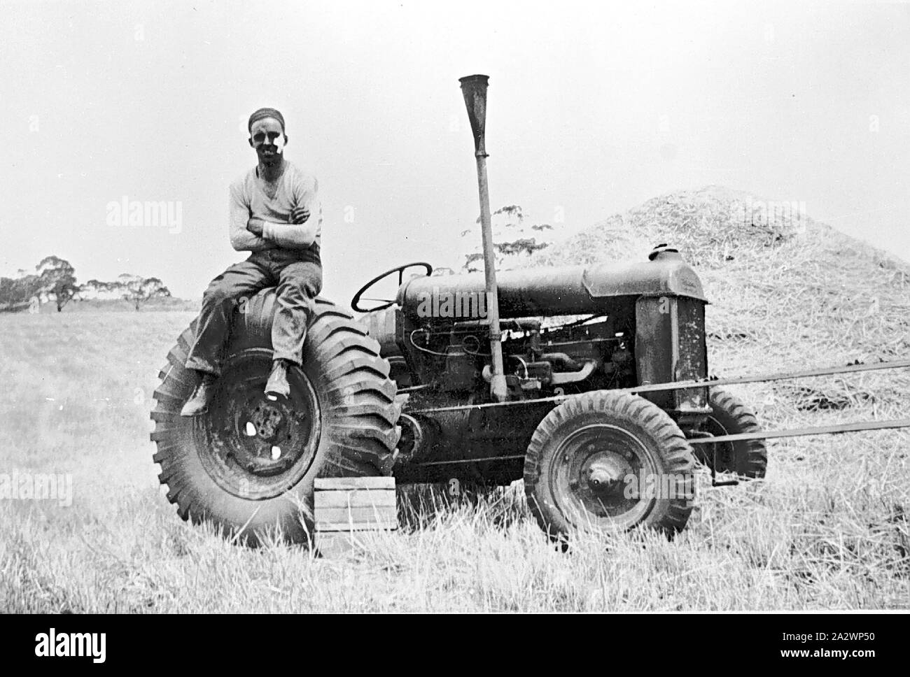 Negative - Yendon, Victoria, 1939, Man sitting with crossed arms on the wheel of a Fordson tractor that has a conveyor belt attached to it. He wears a long sleeve shirt, pants and boots. The man has a close fitting cap on his head and there is a large white bandage on his left cheek.There is a haystack behind the tractor Stock Photo