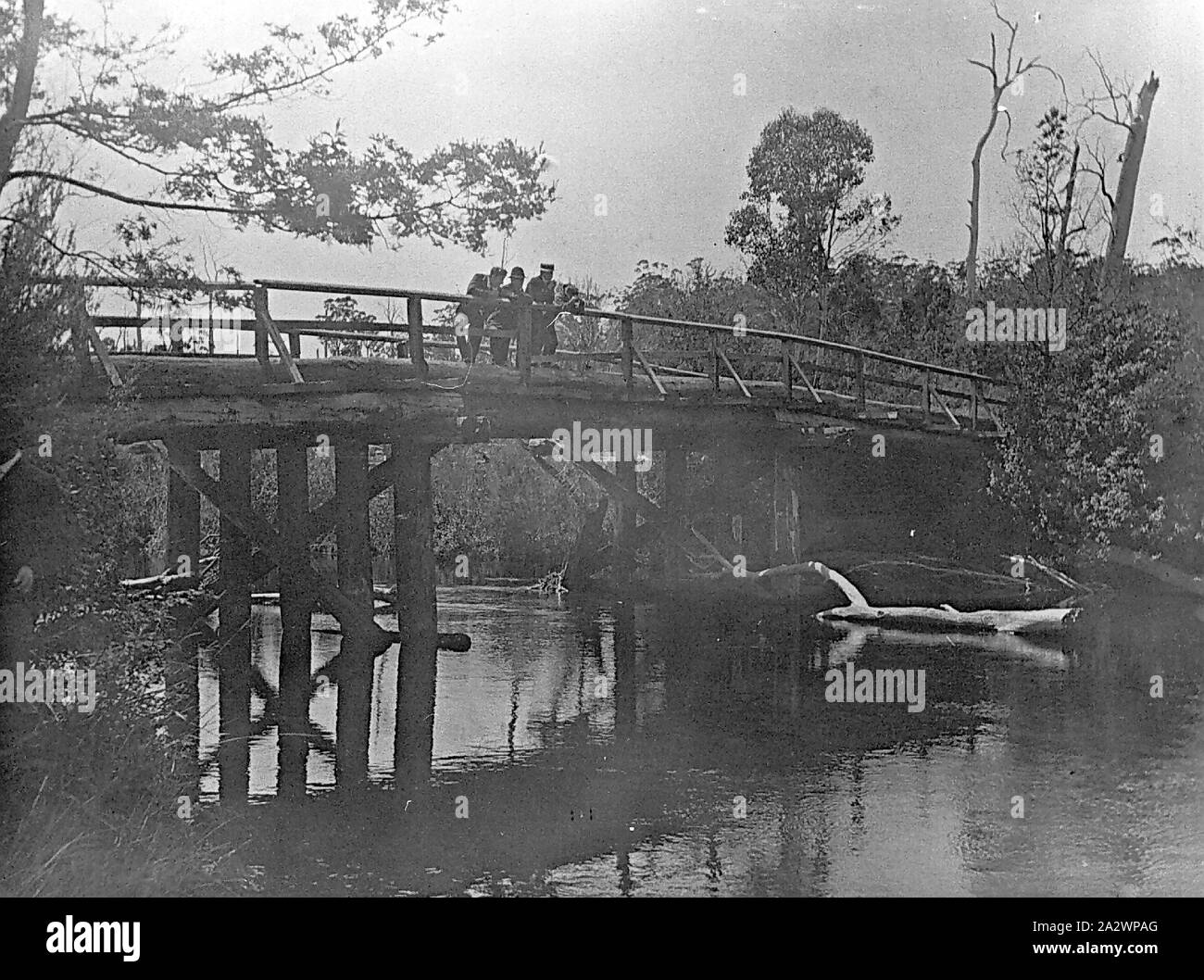 Negative - Patersonia (?), Tasmania, 1902, Group of people on an old timber bridge over the St Patrick's River Stock Photo