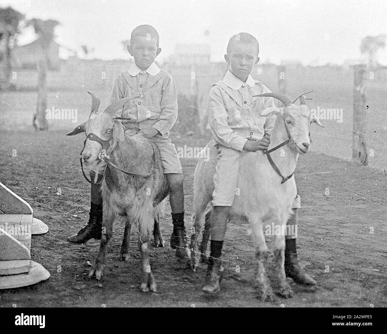 Two young boys riding goats hires stock photography and images Alamy