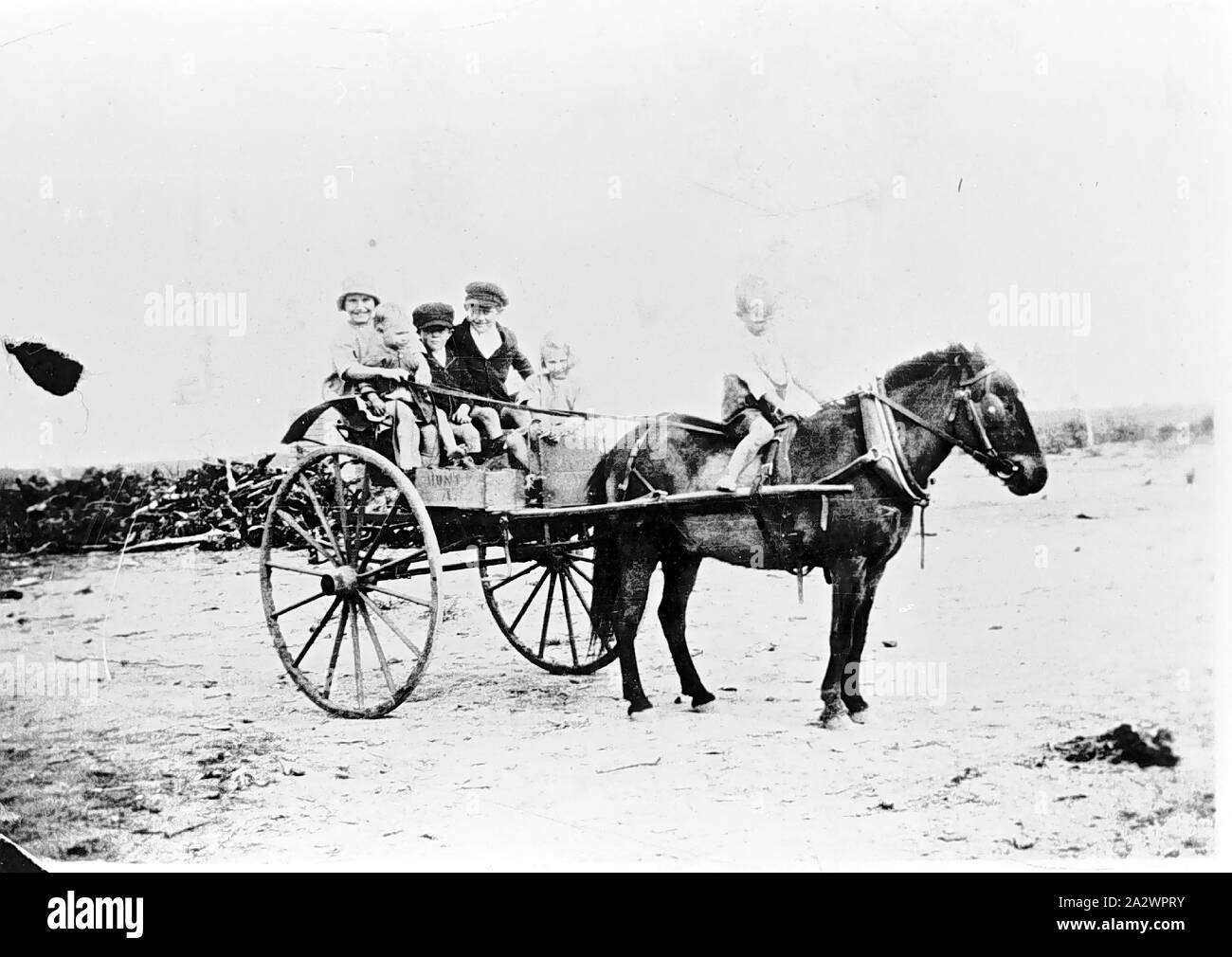 Child driving horse cart hi-res stock photography and images - Alamy