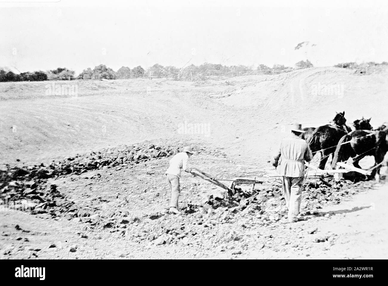 Negative Kooloonong, Victoria, 1925, Scooping a dam using a horse