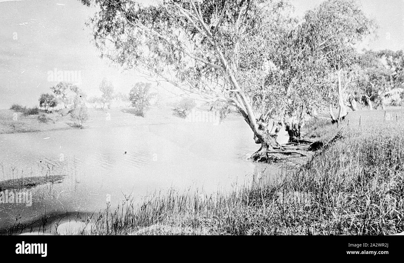 Negative - Jundah, Windorah, Queensland, 1936, The Thompson River Stock Photo