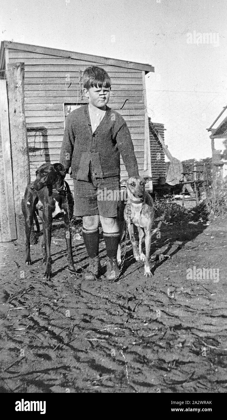 Negative - Manangatang, Victoria, 1934, A young boy with two greyhounds. Buildings of the Hughes family farm are in the background Stock Photo