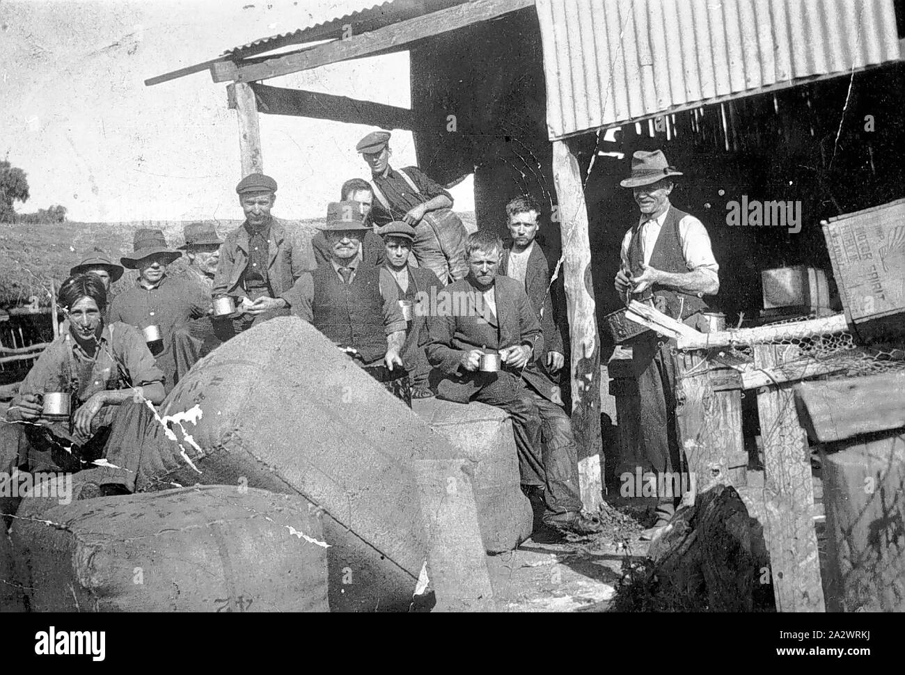 Shearers having hires stock photography and images Alamy