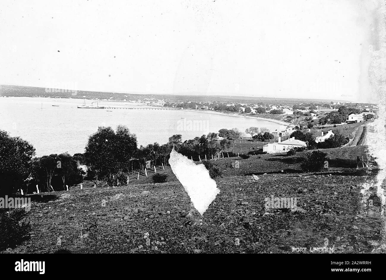 Negative Port Lincoln, South Australia, 1902, Looking down on Boston