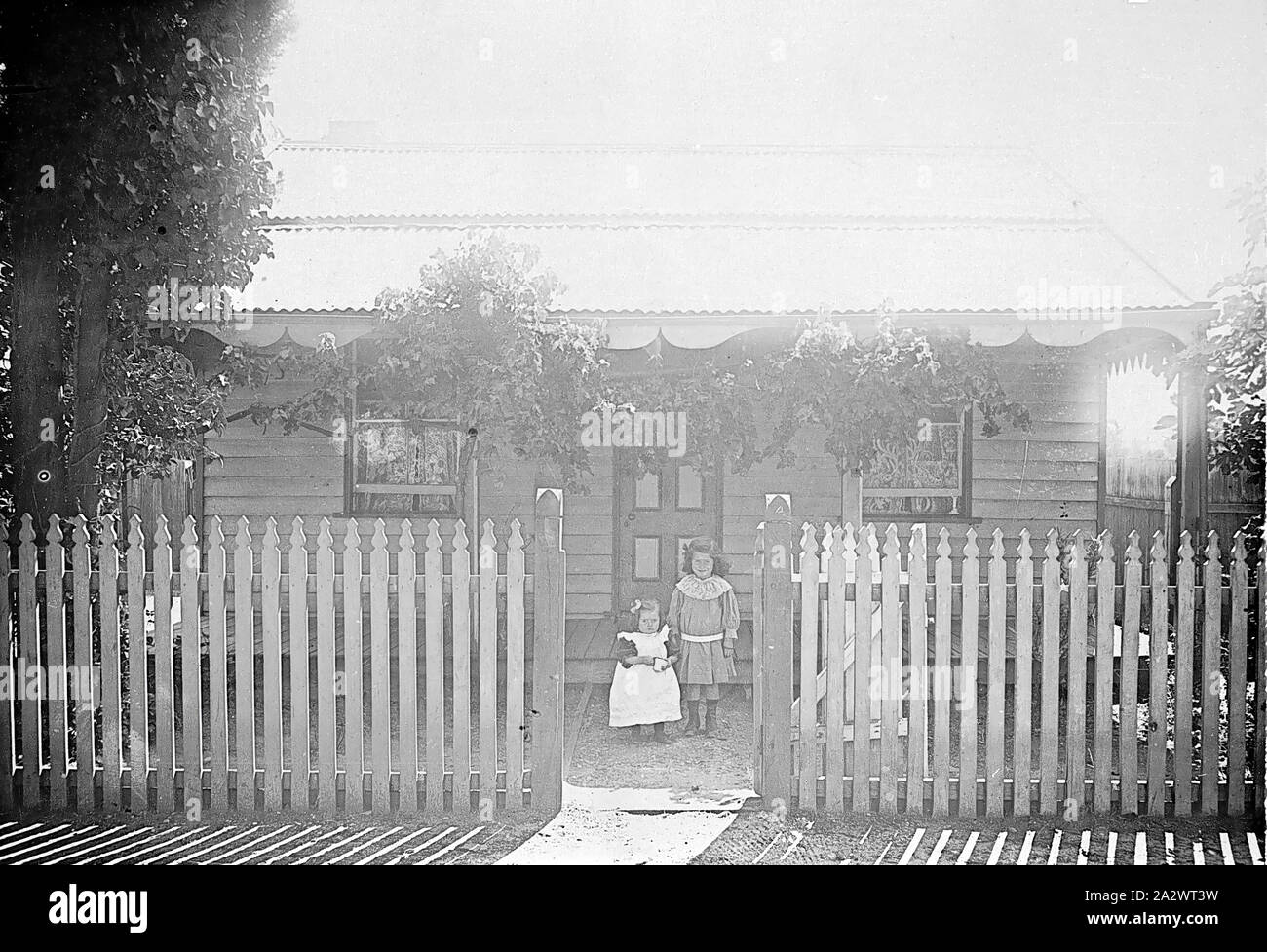 Negative - Two Girls in Front of House, Bendigo, Victoria, circa 1906, Two young girls standing in front of a small wooden house with a picket fence. There are vines growing along the verandah Stock Photo