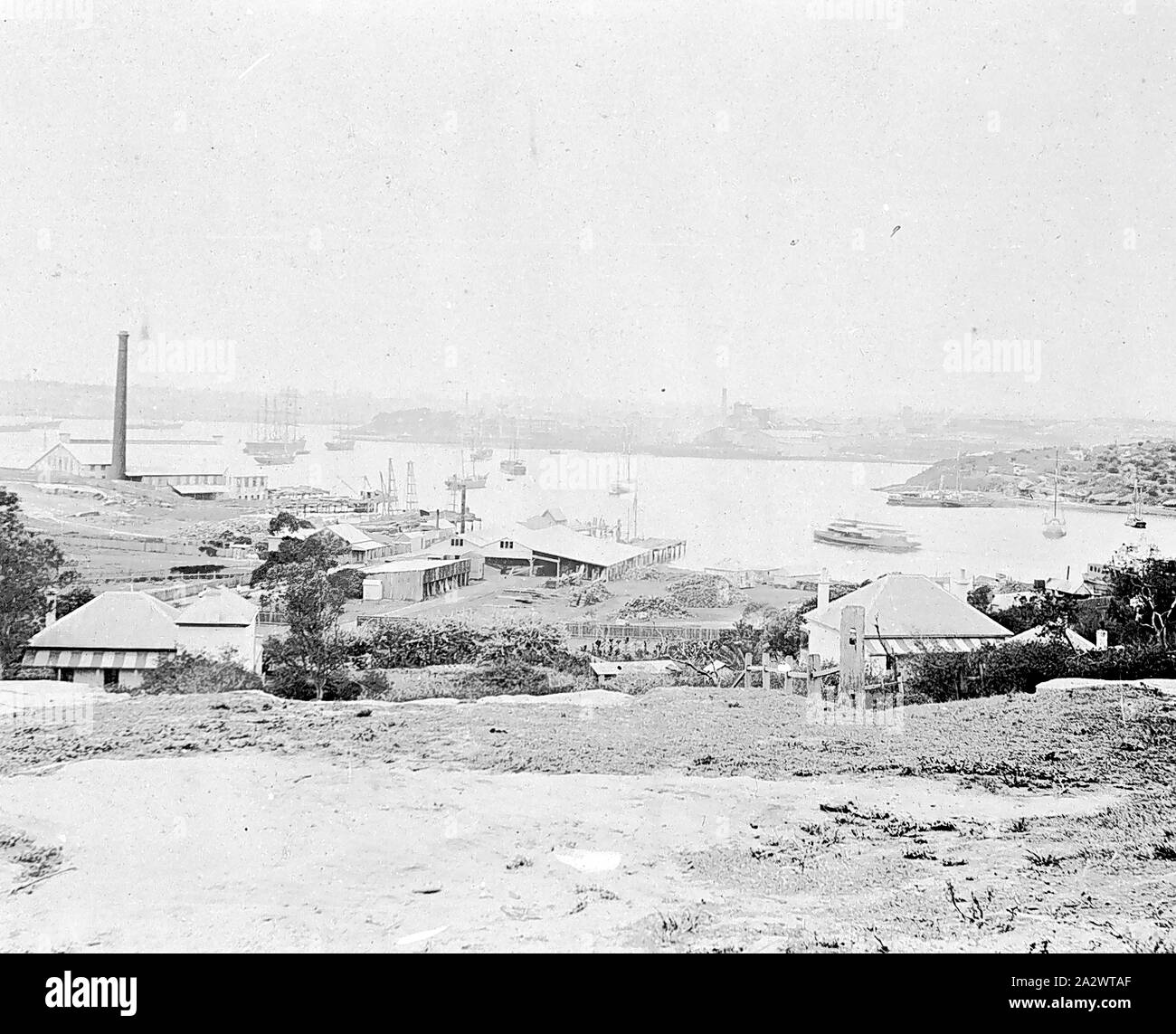 Negative Sydney, New South Wales, circa 1890, Sydney Harbour from