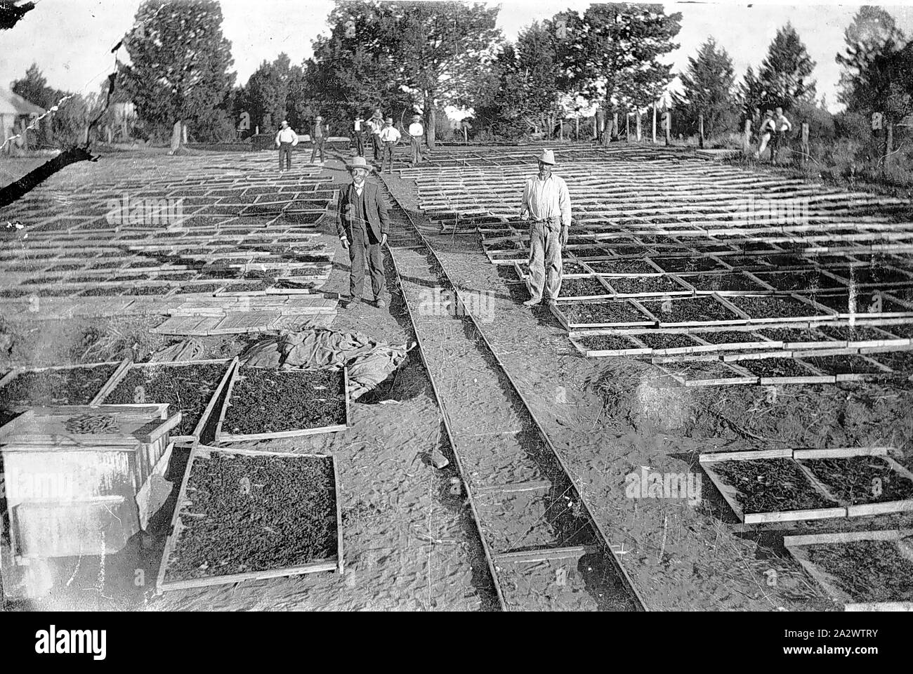 Mildura centre hires stock photography and images Alamy