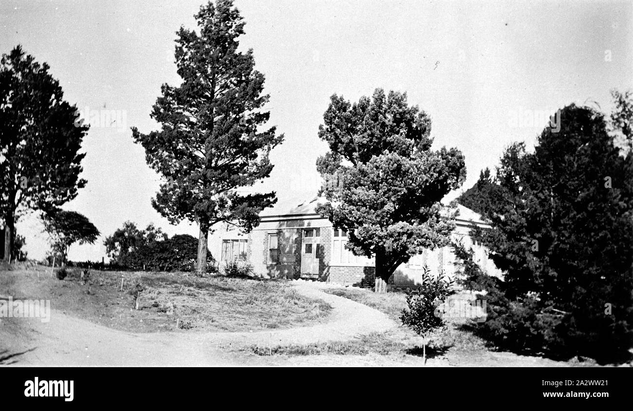 Negative - Merbein, Victoria, circa 1920, The garden and original home at 'Stretton Stock Photo