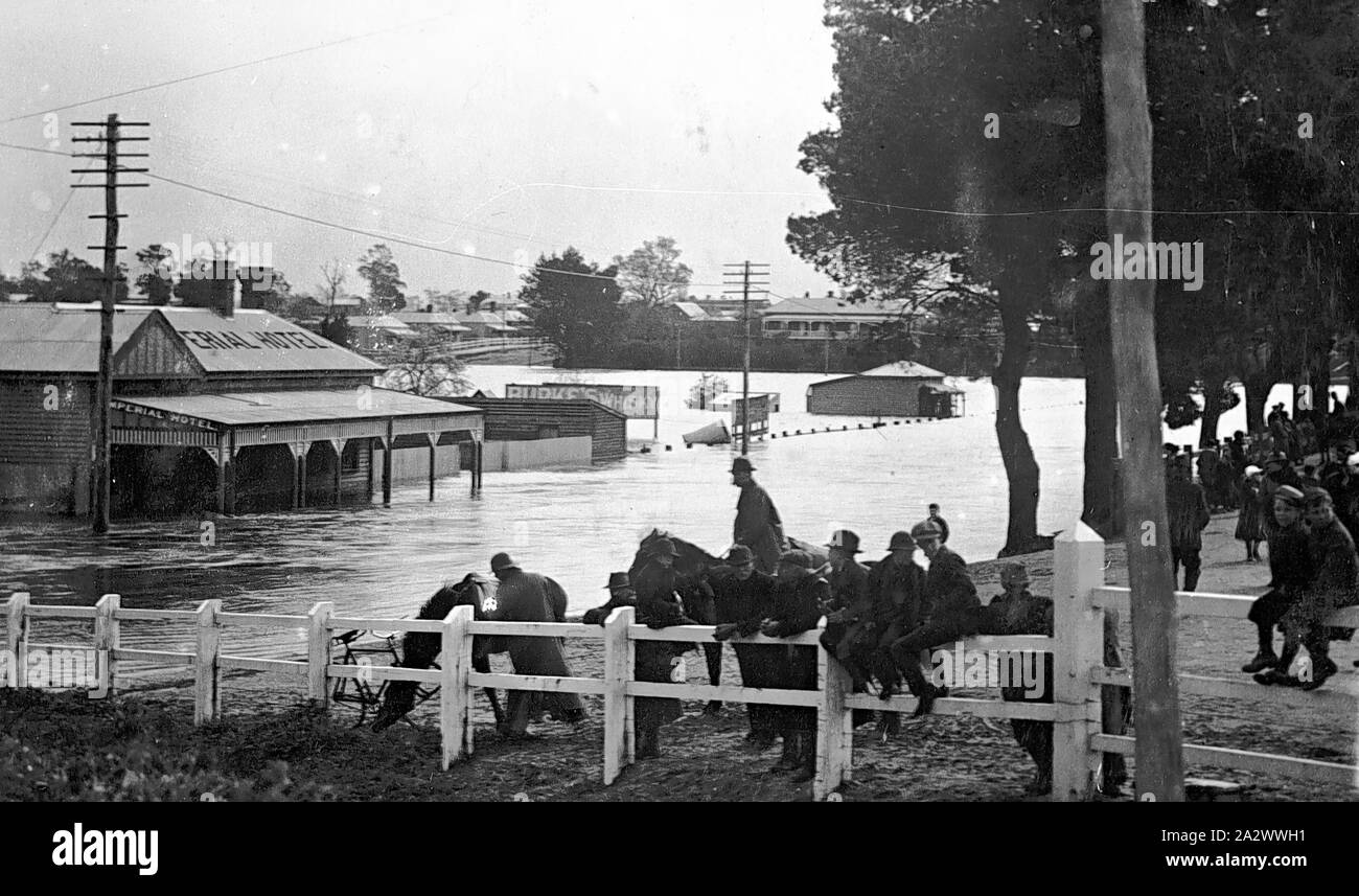 Negative Bairnsdale, Victoria, circa 1910, Floodwaters from the