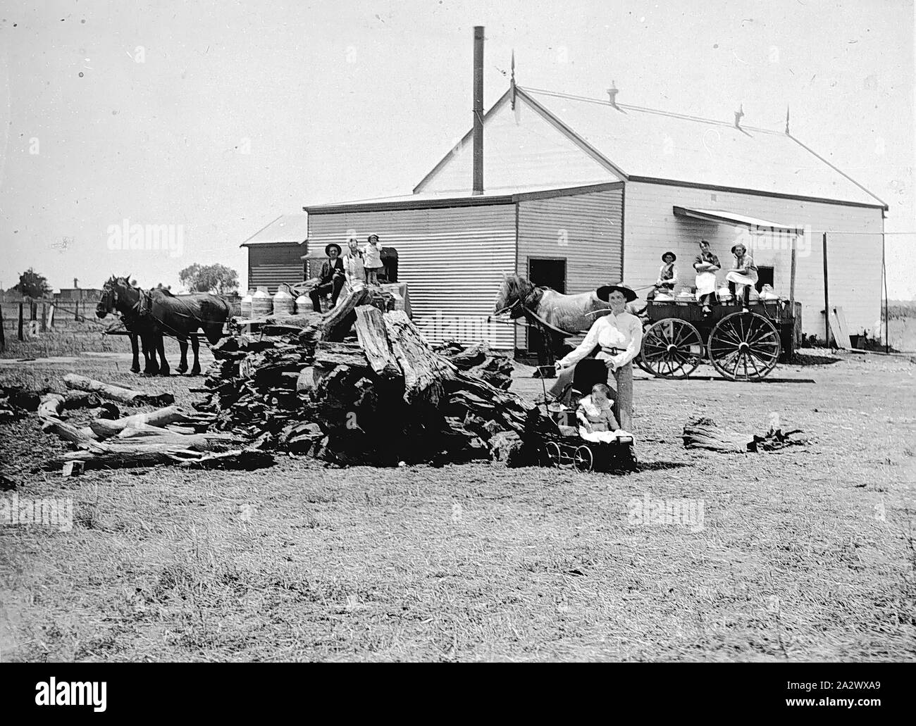 Negative - Farmers Delivering Milk, Emu Flat, Victoria, 1893, Farmers  delivering milk to the factory and then their children to school. There are  two wagons carrying milk cans in the background and,