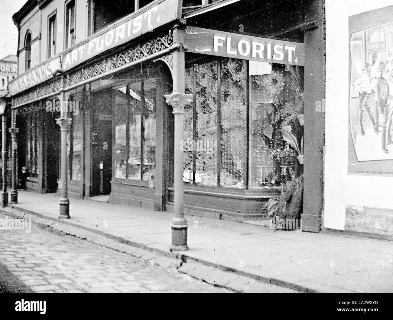 Negative - Fitzroy, Victoria, circa 1915, A florist's shop with the sign 'W.H. Banks Art Florist'. There is a wide bluestone guttering and cobblestones in the foreground Stock Photo
