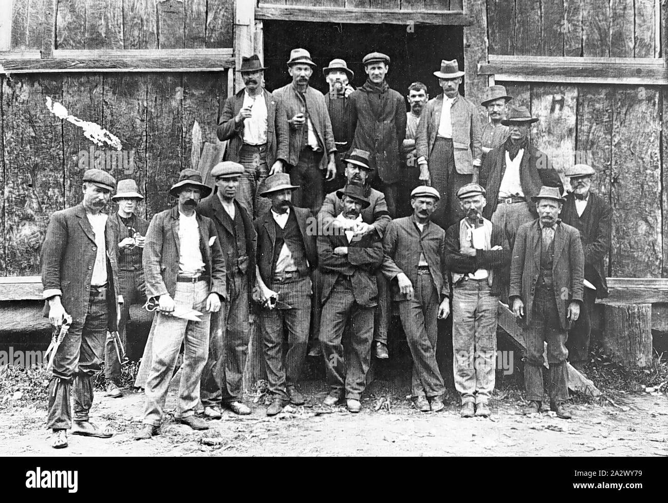 Negative Cressy District, Victoria, circa 1915, A group of shearers