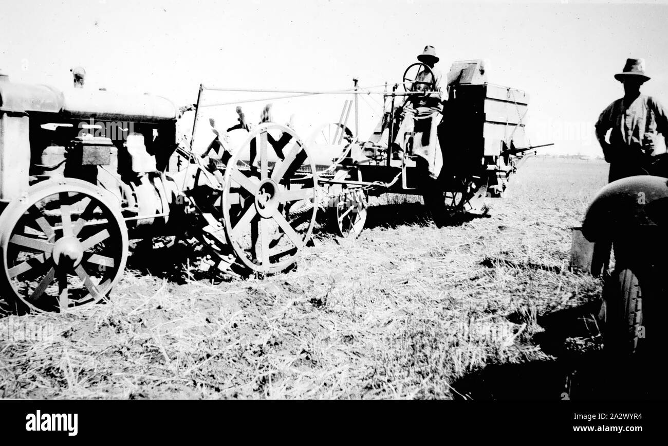Negative - Forson Tractor & Harvester, Rupanyup (?), Victoria, circa 1935, Fordson tractor and harvester on farm. The Fordson appears to be modified for single person operation from the harvester seat Stock Photo