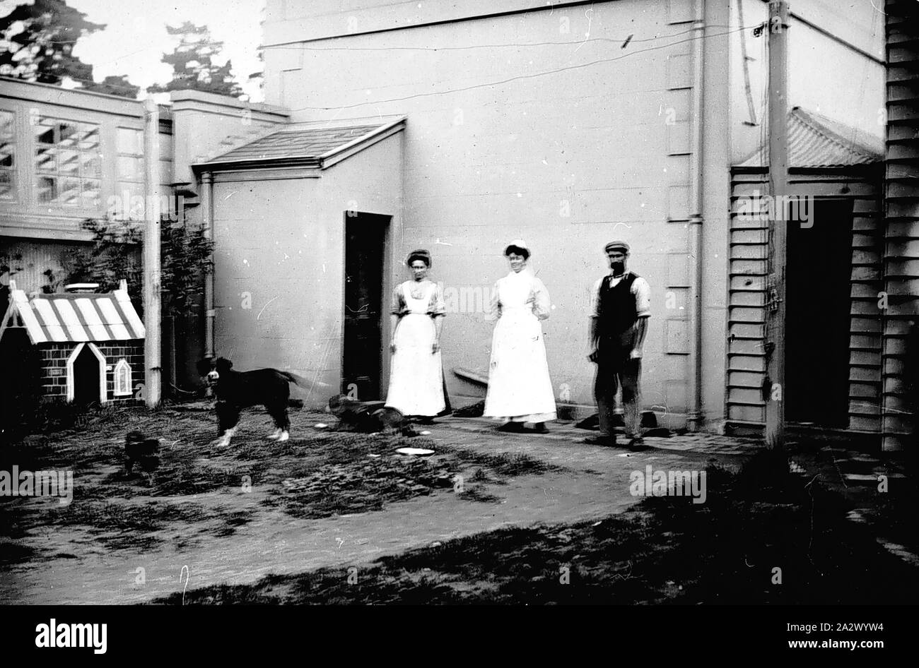 Negative - Housekeeper & Servants, 'Chelmer', St Kilda Road, South Yarra, Victoria, 1907, Housekeeper and domestic staff at 'Chelmer', residence of Thomas Beckett at 340 St Kilda Road, South Yarra, 1907. The housekeeper is probably Olive Moore. Photograph by Thomas Beckett. PPart of a collection of glass plate negatives taken by Dr Thomas George Beckett, doctor, pioneering radiologist and amateur photographer between 1891 and 1910. The collection is primarily of Beckett's family Stock Photo