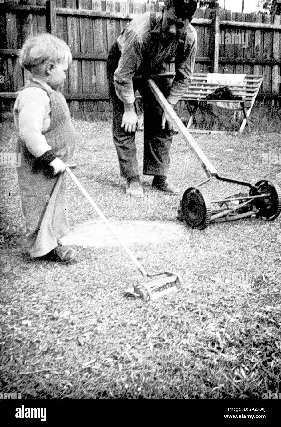 Negative - Greensborough, Victoria, Sep 1956, A father and son in a backyard. The father has a hand pushed lawn mower and the child a toy lawn mower Stock Photo