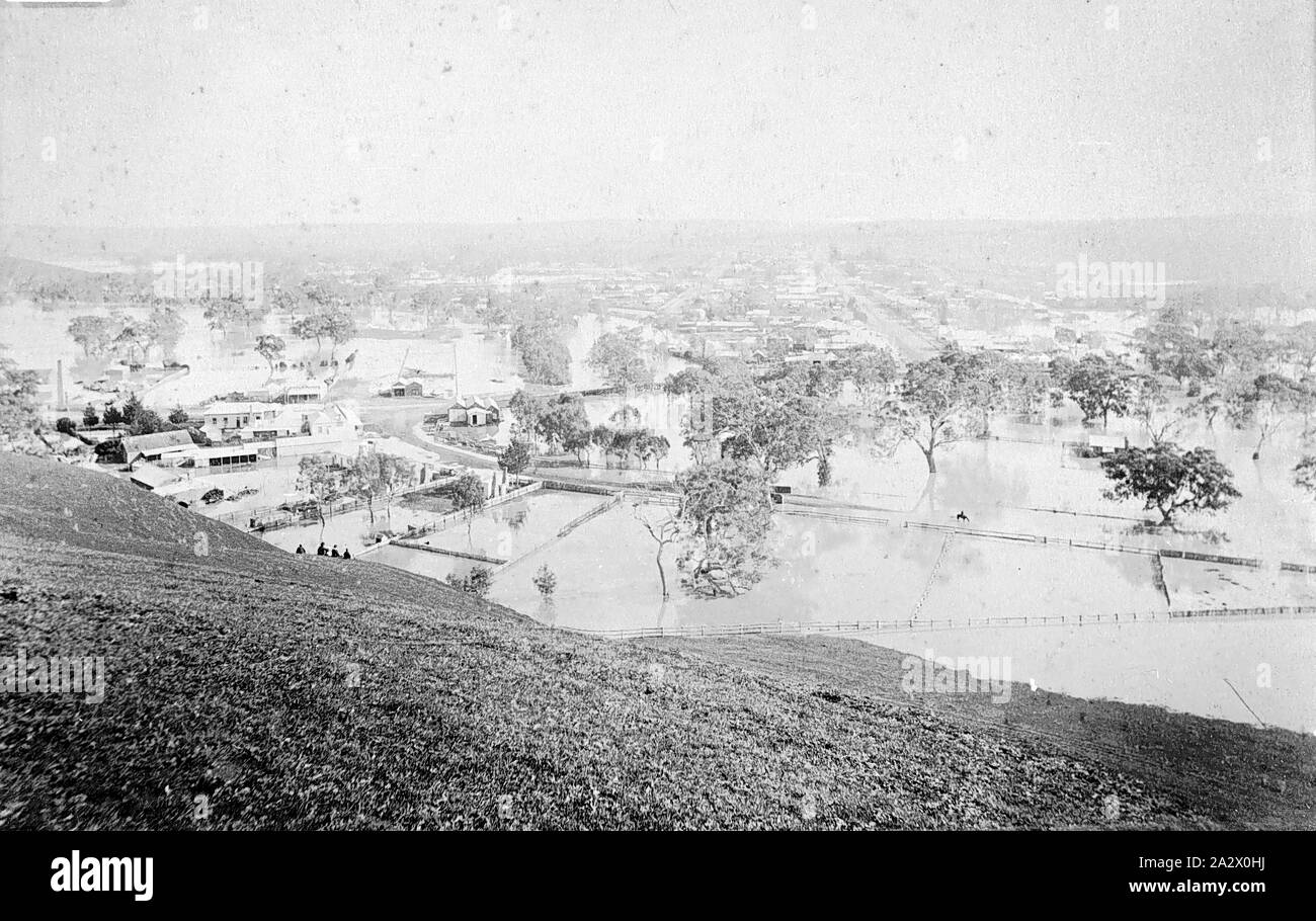 Negative - Glenelg River, Casterton, Victoria, 1893, The Glenelg River in flood Stock Photo